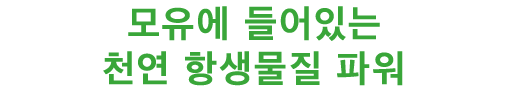 모유에 들어있는 천연 항생물질 파워
