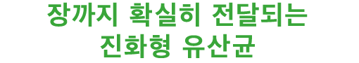 장까지 확실히 전달되는 진화형 유산균