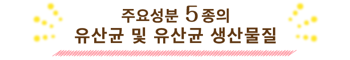 주요성분 5종의 유산균 및 유산균 생산물질