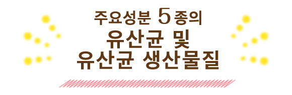 주요성분 5종의 유산균 및 유산균 생산물질