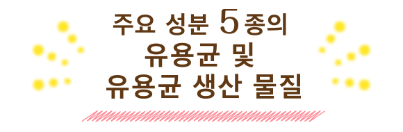 주요성분 5종의 유산균 및 유산균 생산물질