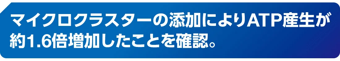 マイクロクラスターの添加によりATP産生が約1.6倍増加したことを確認。