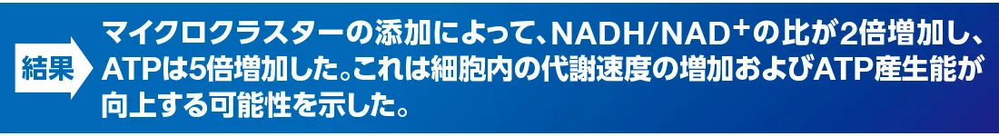 マイクロクラスターの添加によって、NADH/NAD+の比が2倍増加し、ATPは5倍増加した。これは細胞内の代謝速度の増加およびATP産生能が向上する可能性を示した。