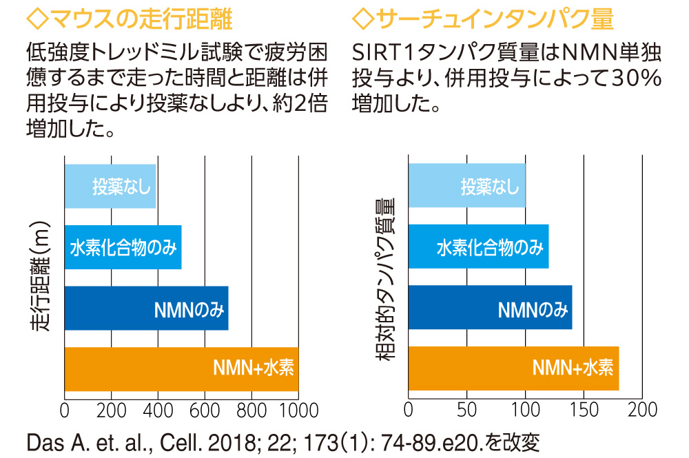 NMN＋水素の比較