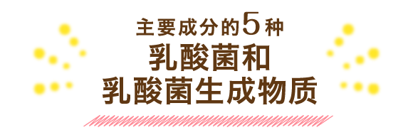 主要成分的5种 乳酸菌和乳酸菌生成物质